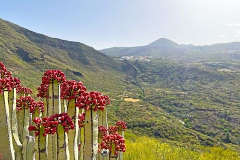 Environs de Santiago del Teide, Tenerife