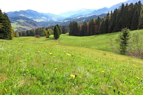 Paysage typique du Bregenzerwald