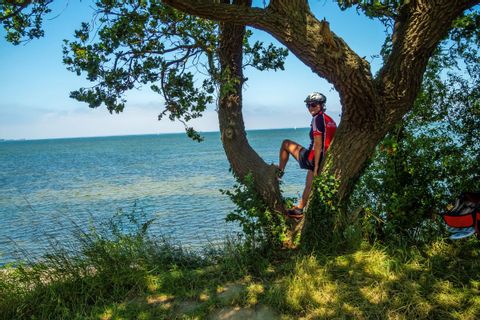 Cyclotouriste admire la vue sur les étendues d'eau de Bodden