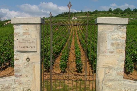 Domaine de Montrachet en Bourgogne
