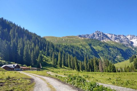 Vallée de Lech