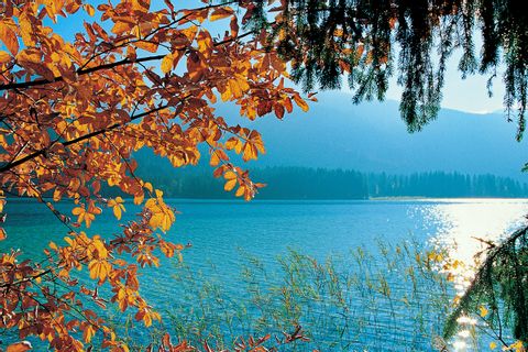 Lac de Carinthie en automne