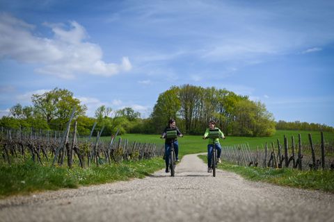 A vélo en Alsace avec Espace Randonnée