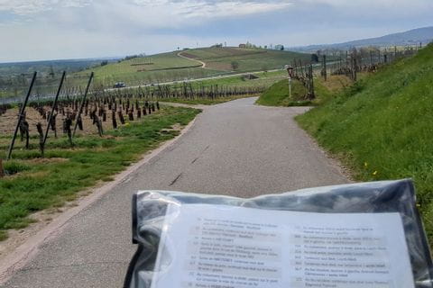 Route des vins, entre Eguisheim et Hattstatt