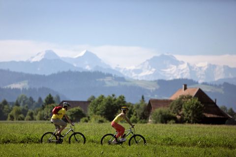 Cyclistes devant un panorama des Alpes bernoises