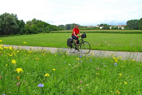 Cycliste sur la piste cyclable du Neckar