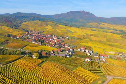 vue de la plaine d'Alsace et des Vosges, surplombés par le château du Haut-Koenigsbourg