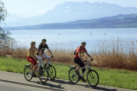 Cyclistes pédalant sur les rive du lac des Quatre-Cantons en Suisse