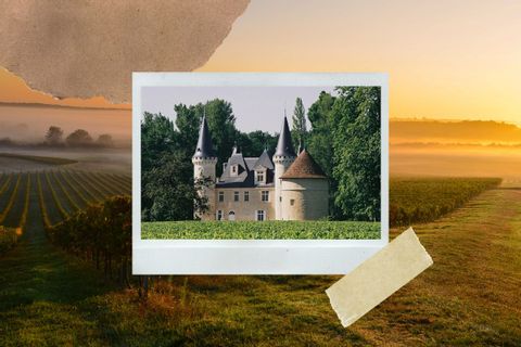 Montage photo montrant un château du Médoc sur fond de vignoble 