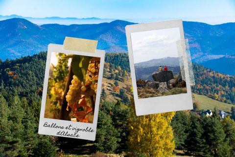 Patchwork d'images du vignoble alsacien et de randonnées dans les Vosges en automne