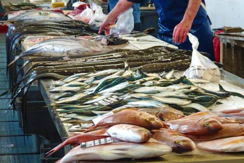 Etal du marché aux poissons de Funchal, Madère