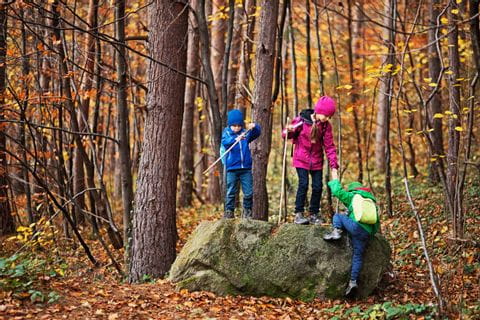 Trois enfants sur un rocher dans une forêt aux couleur automnales 