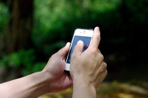 Gros plan sur les mains d'une personne qui tient son téléphone portable dans un arrière-plan boisé