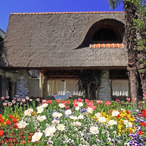 Hôtel Albergo 4*, Losone
