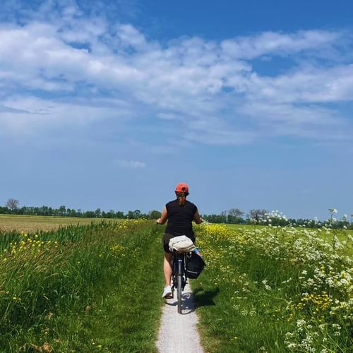 Cycliste avec casque rouge roulant sur sentier étroit à travers la campagne hollandaise verte avec fleurs sauvages et ciel bleu.