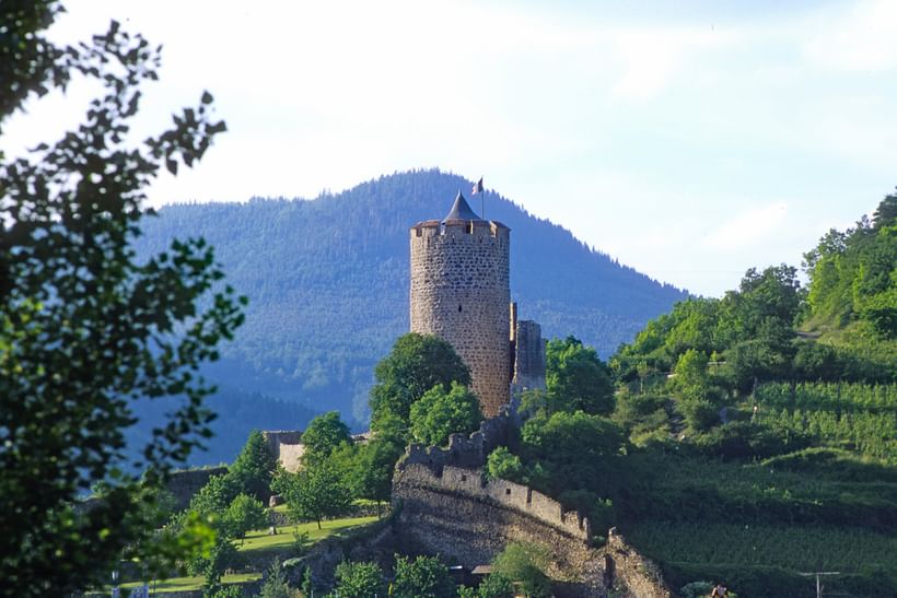 Trek - La Route des Vins avec vue imprenable sur la plaine d\'Alsace de Barr à Kaysersberg