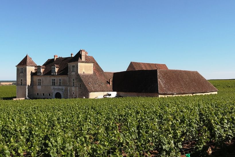 Randonnée en Bourgogne : le Sentier des Vignes