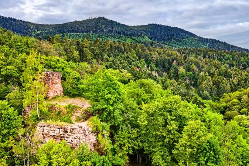 Trek - Sur les traces du Moyen-Âge, randonnée de Saverne à Barr