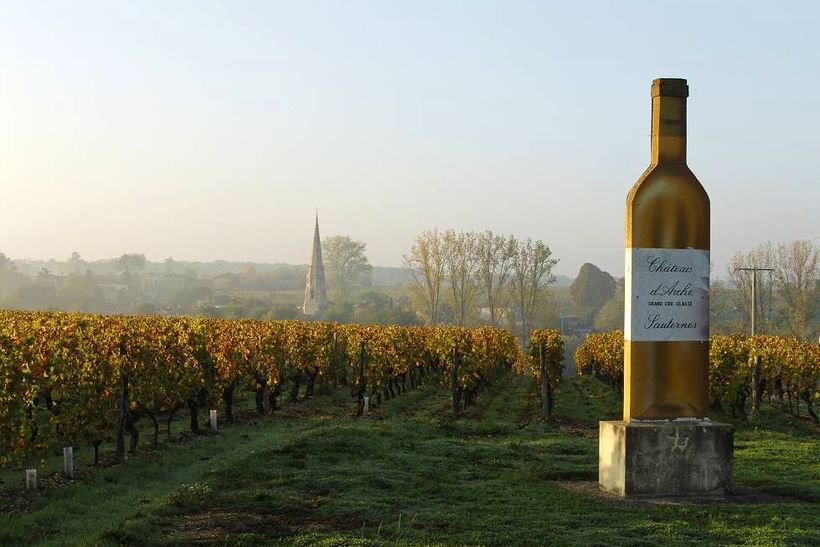 Trek - Randonnée dans le vignoble bordelais