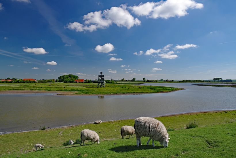 Voyage à vélo - La Zélande en Bateau et Vélo, MS Normandie