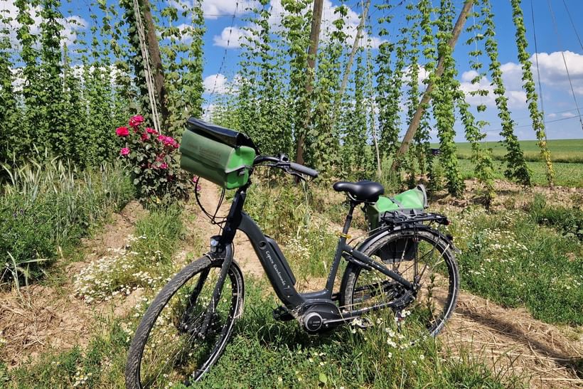 Voyage à vélo - Circuit brassicole en Alsace du Nord, 5 jours