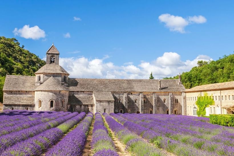 Trek - Luberon à pied