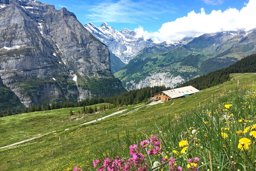 Trek - Randonnée de la Via Alpina, le Trek de l\'ours
