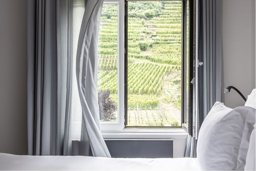 Voyage à vélo - Escapade spa & bien-être sur la Route des Vins d\'Alsace