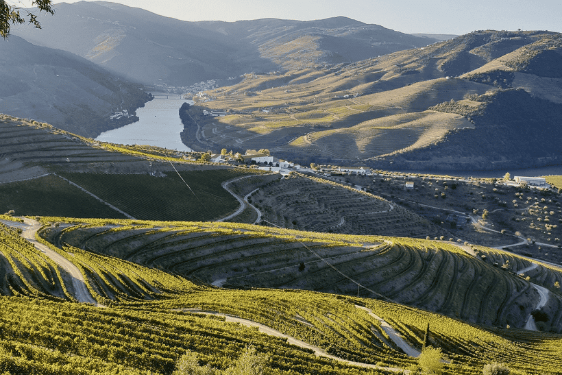 Voyage à vélo - La vallée du Douro à vélo, 8 jours