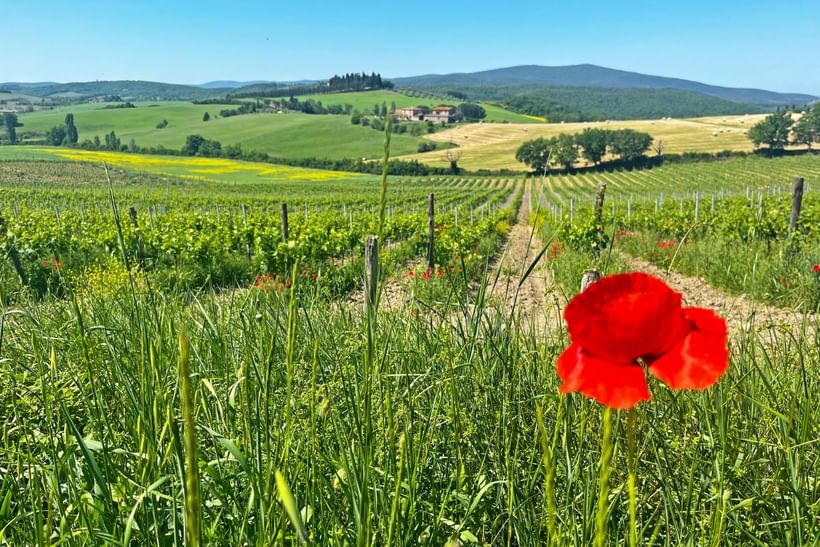 Trek - La Toscane pittoresque en randonnée