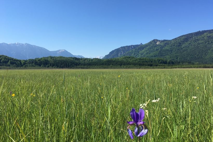 Voyage à vélo - Lac et Traditions de Bavière, Bon Plan