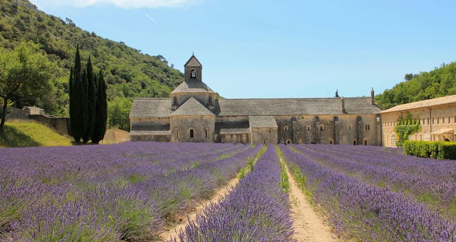 Abbaye de Senanque