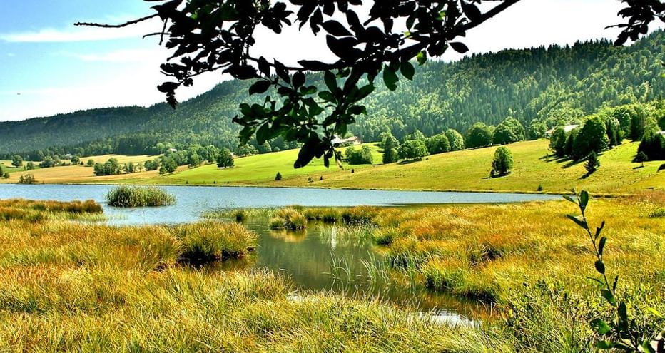 Lac des Mortes, Jura