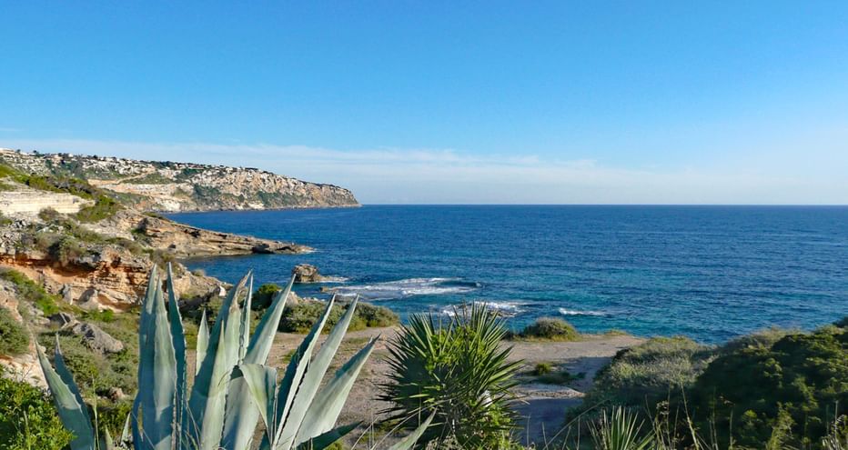 Paysage côtier méditerranéen à Cala Blava, Majorque avec agaves au premier plan, falaises rocheuses, mer bleue et ciel clair.