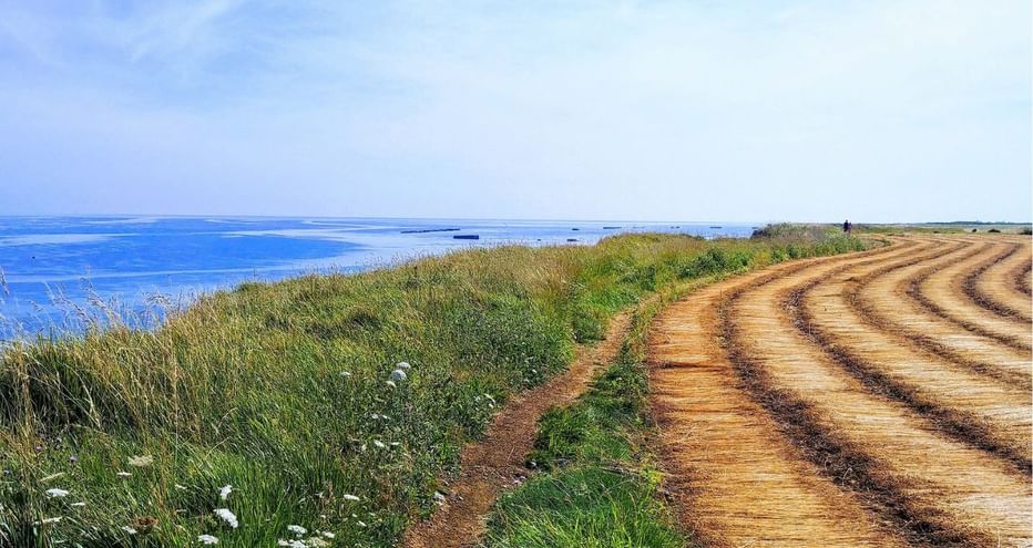 Chemin de terre longeant un champ labouré près de la côte d'Arromanches. Herbe verte avec fleurs blanches bordant la mer bleue sous ciel nuageux.