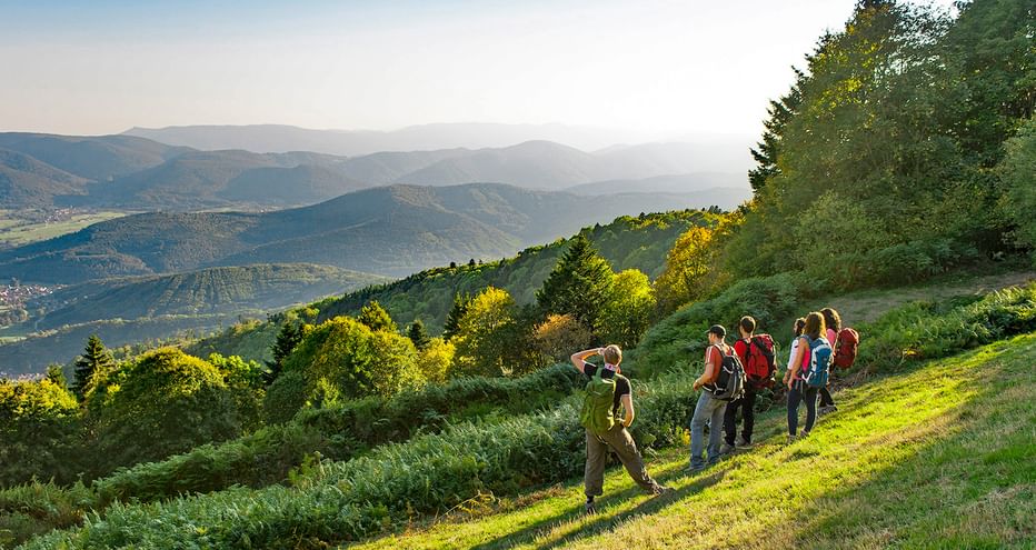 Groupe d'amis en randonnée, admirant une vue splendide sur les Vosges