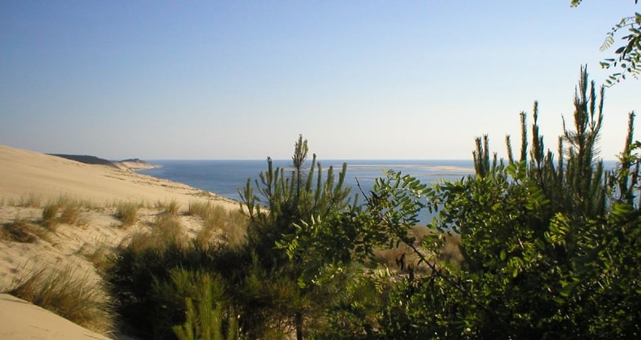 Depuis la Dune du Pilat