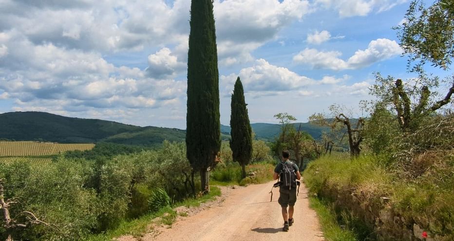 Sentier dans les environs de Panzano