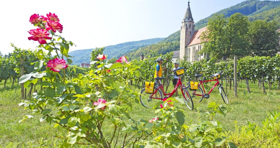 Pause dans la vallée de la Wachau et ses vignobles