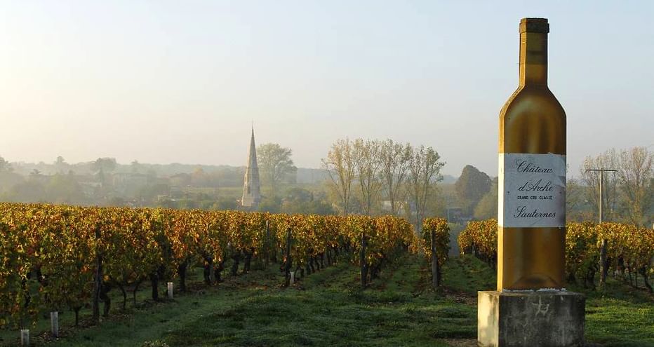 Grande bouteille de vin décorative dans le vignoble de Sauternes avec des vignes aux couleurs automnales. Clocher d'église visible dans le paysage brumeux.