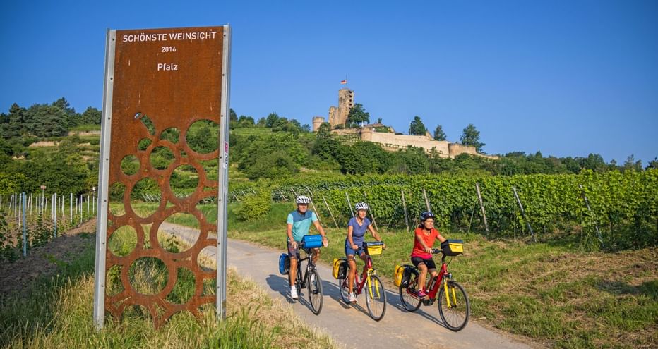 A vélo dans les vignobles allemands