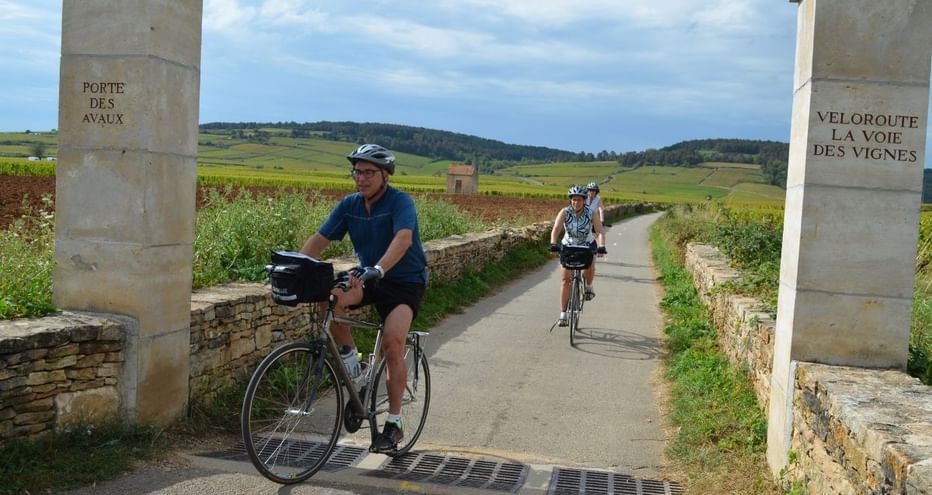Cyclotourisme sur les voies vertes de Bourgogne