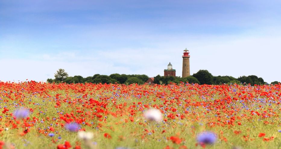 Rügen