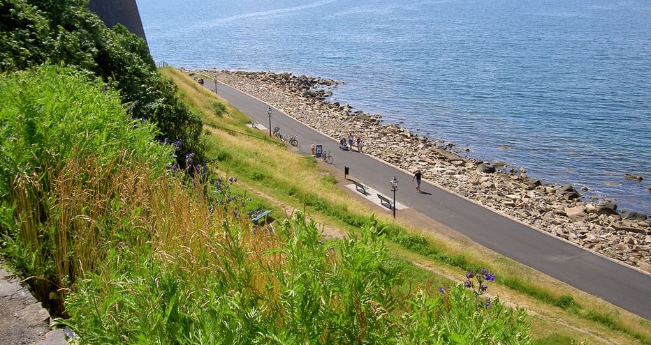 piste cyclable entre Stockholm et Copenhague