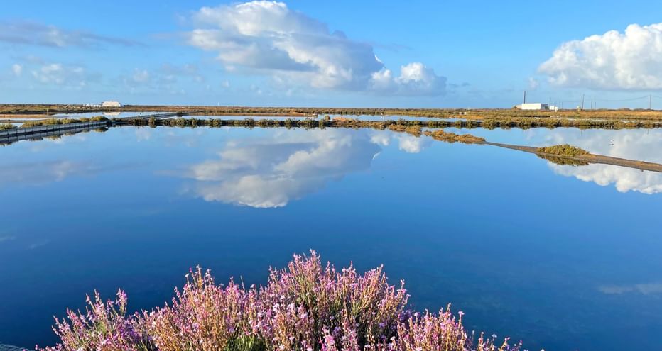 Saline, Parc naturel Ria Formosa