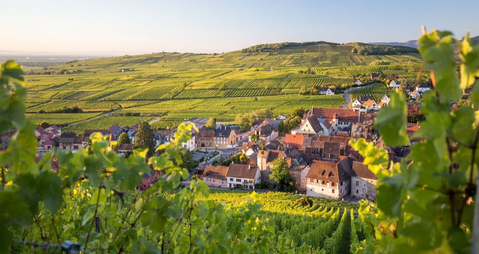 Village de Riquewihr avec maisons traditionnelles et toits rouges niché parmi les vignobles verdoyants d'Alsace, France.