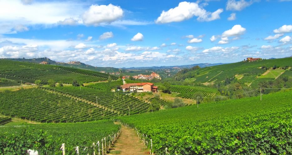 Vignoble du Piémont