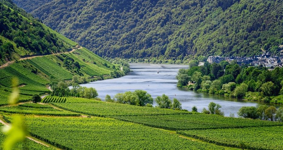 Vue sur la rivière Moselle en Allemagne