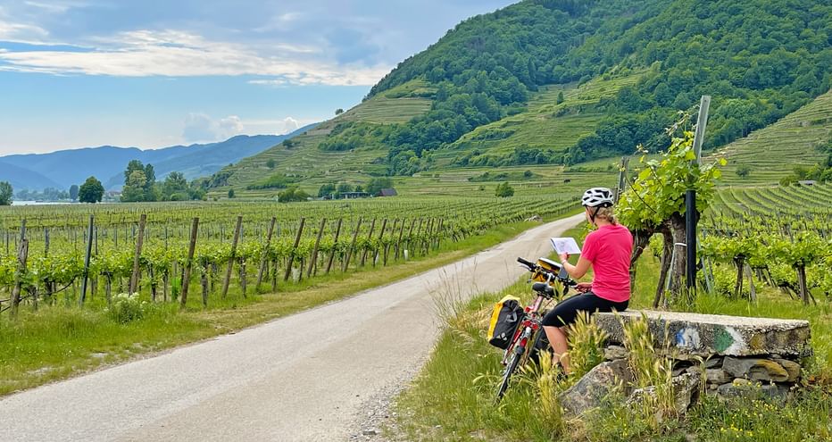 Cyclotouriste dans la Région de la Wachau, le long du Danube, Autriche