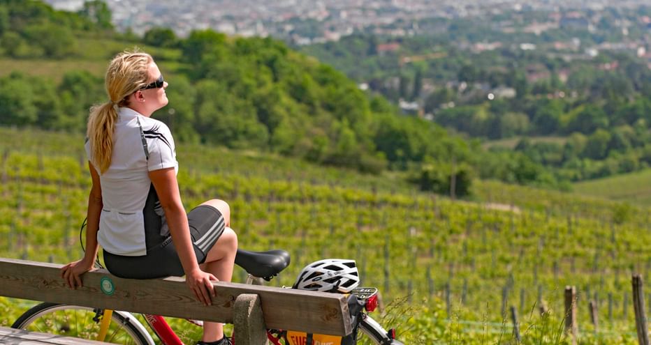 Une cycliste prend une pause pur admirer la vue sur les vignobles, dans les environs du Kahlenberg
